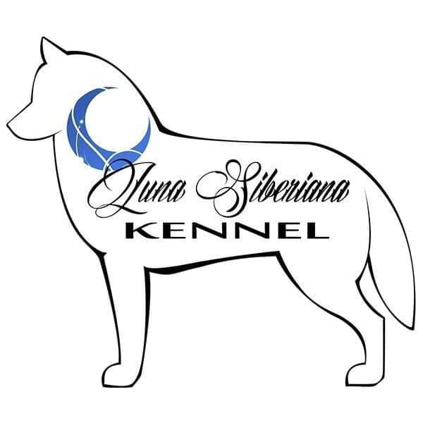 Logo Luna Siberiana Kennel